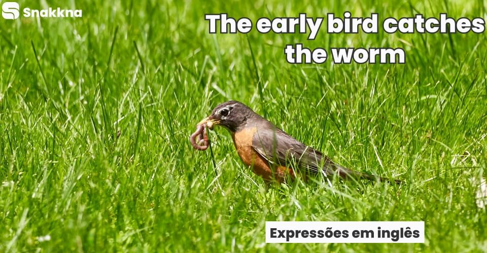 Expressões em inglês | The early bird catches the worm