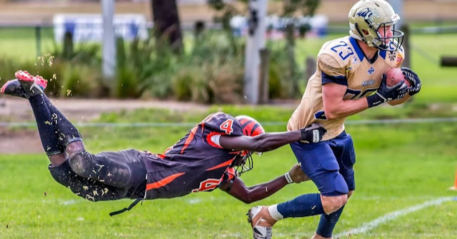 Phrasal Verbs | To grapple with