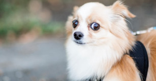 At All | Qual o significado?