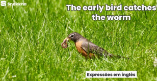 Expressões em inglês | The early bird catches the worm