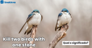 Kill two birds with one stone | Qual o significado?